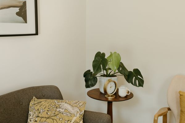 Fertility Support